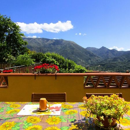 Casina Di Desiree E Aurora Villa Corsanico-Bargecchia Dış mekan fotoğraf